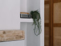 WiiM Vibelink Amp
