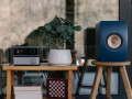 WiiM Vibelink Amp